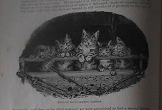 Louis Wain illustration with: 5subjects, black_and_white, book, book:unknown, caption, cat, cat:tabby, indoors, kitten, meta:lowquality, meta:needstitle, meta:needsyear, sleeping, subject:theatre