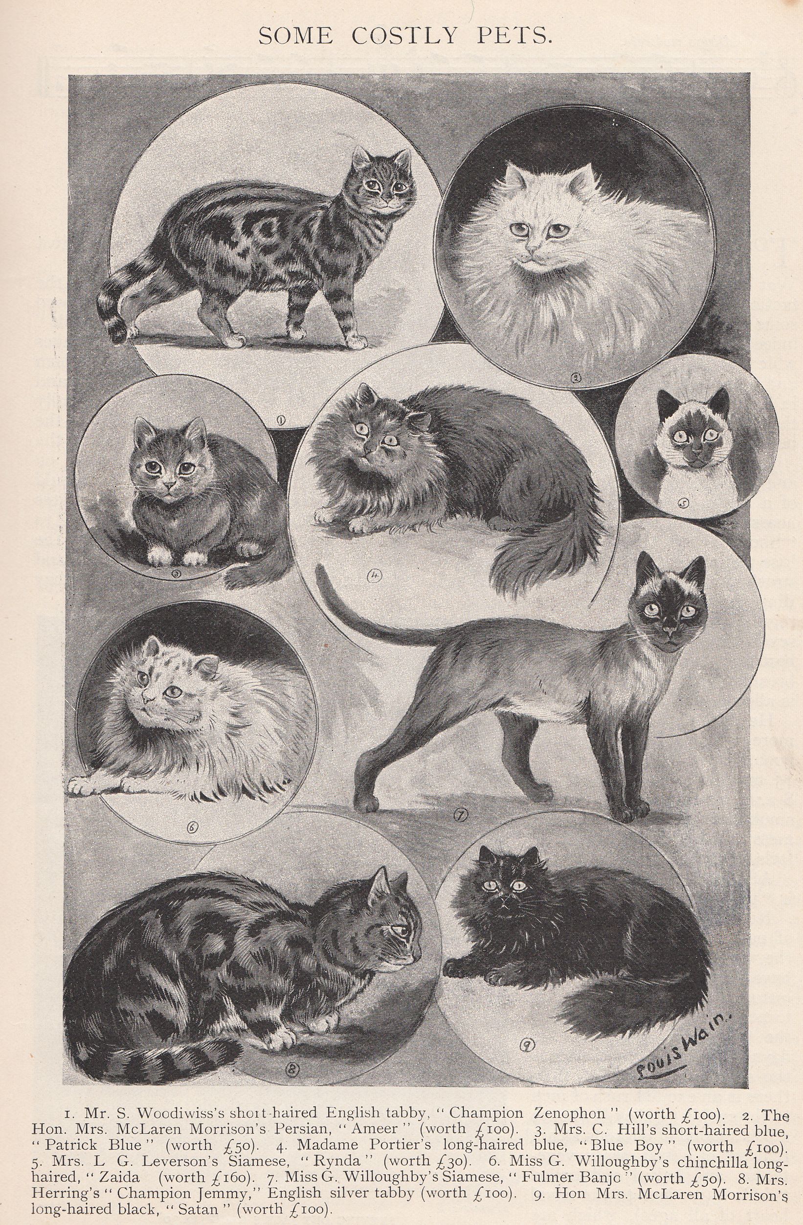 Louis Wain illustration with: 1898, 9subjects, black_and_white, caption, cat, cat:persian, cat:siamese, cat:tabby, color:black, color:white, meta:has_source, portrait, profile, realistic, signature, smiling