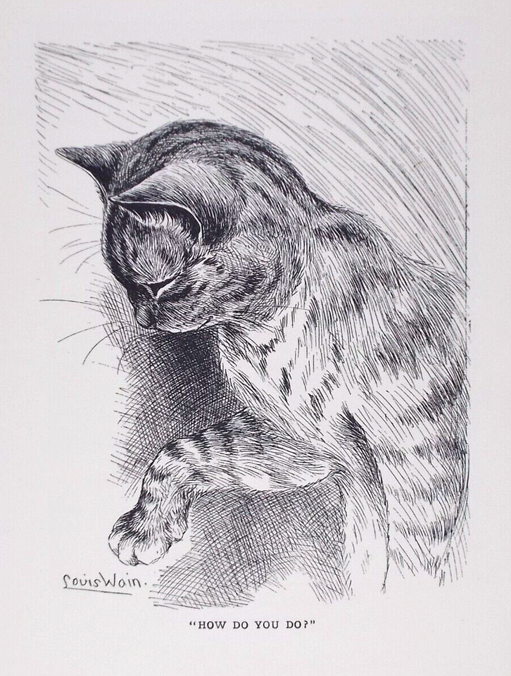 Louis Wain illustration with: 1910, 1subject, black_and_white, caption, cat, meta:has_source, portrait, profile, realistic, signature