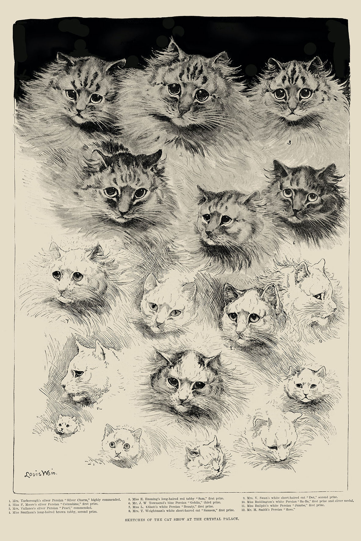 Louis Wain illustration with: black_and_white, book, book:unknown, caption, cat, cat:persian, cat:tabby, color:black, color:white, kitten, manysubjects, meta:has_source, meta:needsyear, portrait, profile, realistic, signature, sleeping