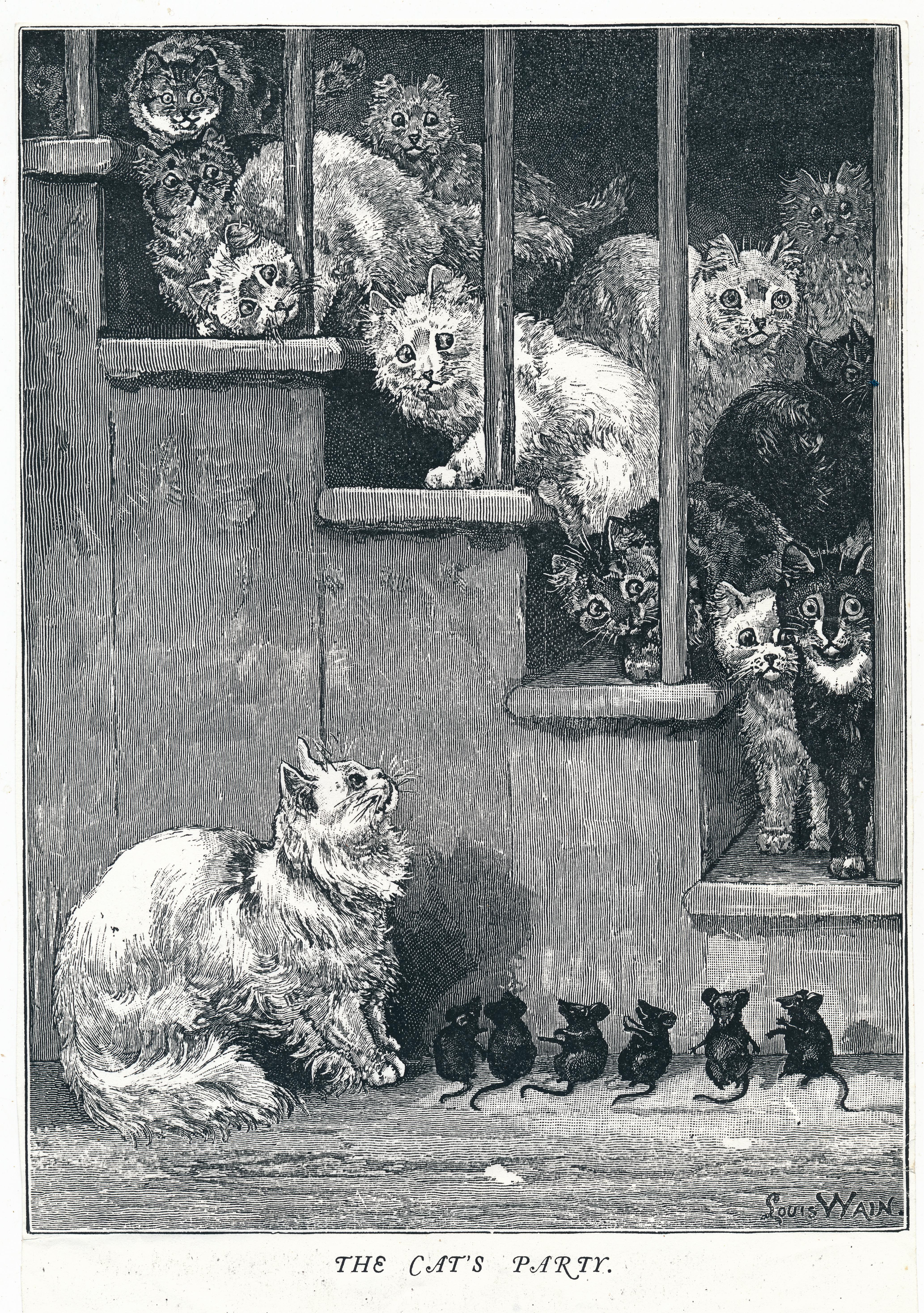 Louis Wain illustration with: black_and_white, book, book:unknown, caption, cat, cat:tuxedo, color:black, color:grey, color:white, indoors, manysubjects, meta:has_source, meta:needsyear, mouse, profile, realistic, signature, swarm