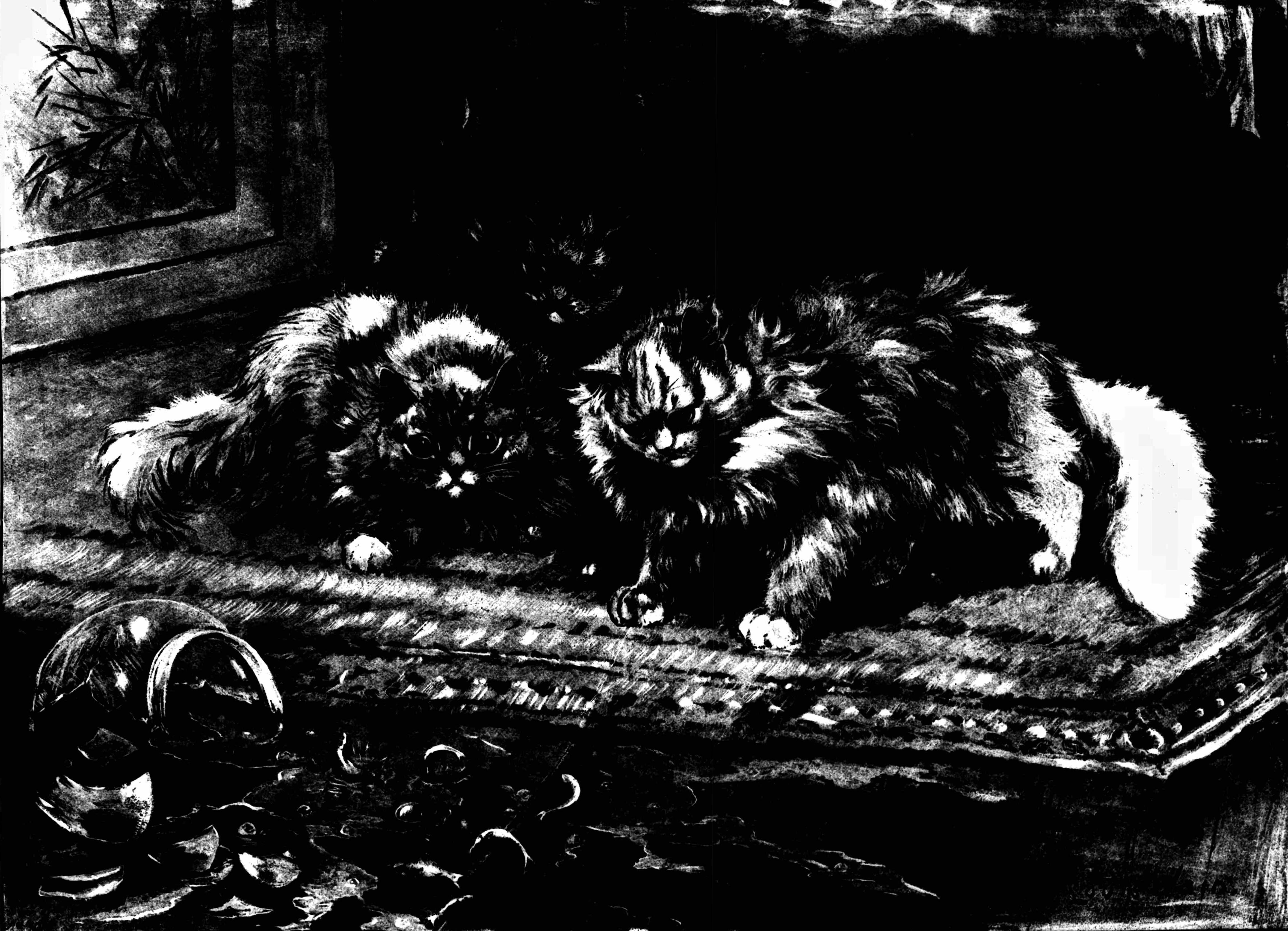 Louis Wain illustration with: 1892, 2subjects, black_and_white, breakage, cat, cat:persian, color:white, fish, indoors, meta:has_source, meta:scan_artifact, newspaper_publication, realistic