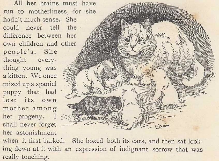 Louis Wain illustration with: 1893, 5subjects, black_and_white, book, book:the_idler, cat, color:white, dog, kitten, meta:has_source, meta:needstitle, profile, puppy, realistic, smiling, unhappy