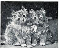 Two Kittens