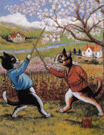 Cats Fencing