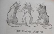 The Cinemetograph