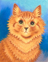 Portrait of an Orange Cat