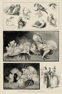 Poultry and Pigeon Show at the Crystal Palace