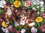 Three Kittens in a Flower Bed