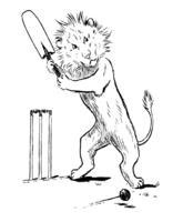 The Animal's Cricket Match