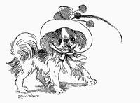 A Japanese Spaniel I Possess has a Great Fancy for Hats