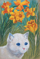 Feline Amongst Daffodils