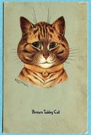 Brown Tabby Cat