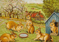 Springtime Rabbits