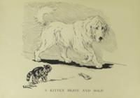 4580 - 1901 2subjects black_and_white book book_cats cat cat_tabby dog kitten meta_needscrop realistic