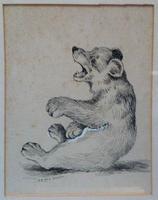 Study of a Bear