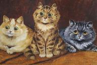 Three Cats on a Persian Rug