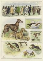 Sketches at the Waterloo Coursing Meeting, Altcar, near Liverpool