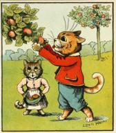 N is for Naughty Cat Taking Fruit From a Tree