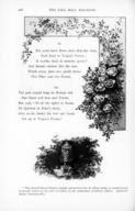 8301 - 1894 black_and_white book caption flower meta_needscrop nosubject outdoors realistic