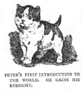 Peter's First Introduction to the World - He Gains His Eyesight
