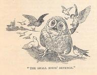 The Small Bird's Revenge