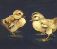 Study of Two Chicks