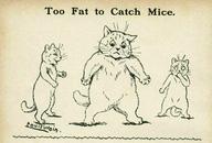 Too Fat to Catch Mice