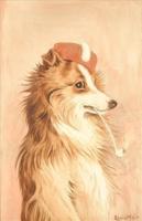 Study of a Collie with Cap and Pipe