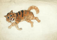 Study of a Ginger Cat