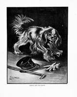 (1899) Pussies and Puppies_093