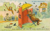 A Cat's Matrimony - Your Married Life Will Be Happy Despite Some Trials