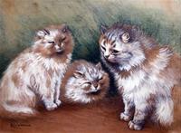 Study of Three Cats