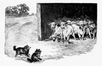 5067 - 1892 black_and_white book book_cat-o-one-tail dog farm lamb manysubjects meta_lowquality meta_needscrop meta_needstitle outdoors profile realistic