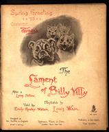 The Lament of Billy Villy