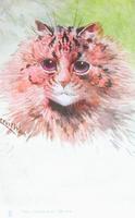 2168 - 1subject caption cat cat_tabby color_brown meta_lowquality portrait postcard realistic signature smiling
