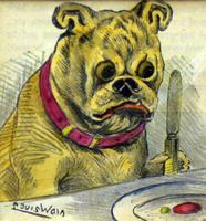 1905 Bull Dog