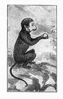 4439 - 1889 1subject black_and_white book book_the_monkey_that_would_not_kill meta_needscrop monkey realistic