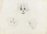 A startled kitten and two studies of cats recto and a study of cats verso