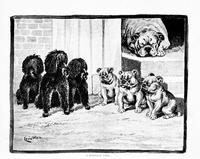 (1899) Pussies and Puppies_051