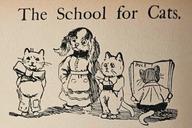 The School for Cats