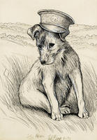 The War Dog - The Cap Fits