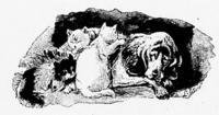 5061 - 1892 black_and_white book book_cat-o-one-tail meta_needscrop tagme-2