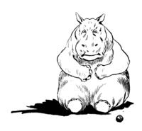 The Umpire Hippopotamus