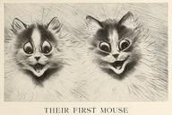 Their First Mouse