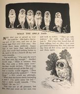 What the Owls Said