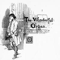 The_Wonderful_Organ