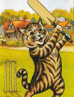 Cat Playing Cricket
