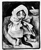 5084 - 1892 1subject black_and_white book book_cat-o-one-tail cat cat_peter cat_tuxedo indoors meta_needscrop realistic signature wink