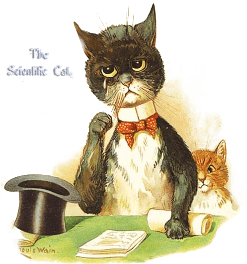 "A scholarly looking cat labled ""The Scientific Cat"""